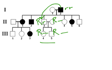 Autosomal Recessive Pedigrees | Educreations