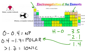 Electronegativity And Bond Polarity | Educreations