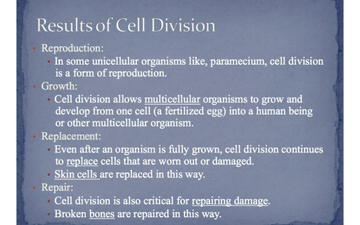 The Cell Cycle - Mitosis | Educreations